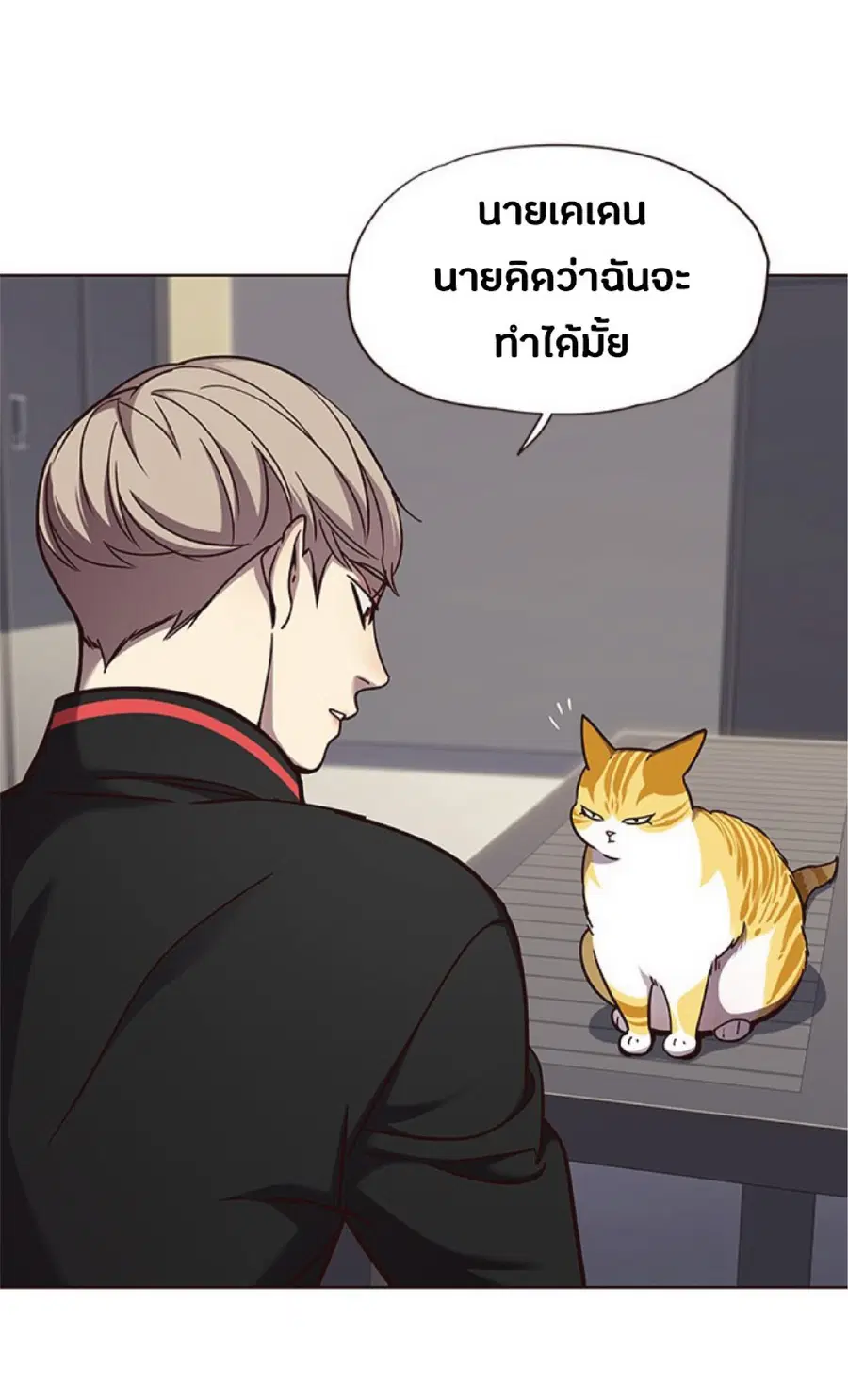 หน้า 41 จาก 81
