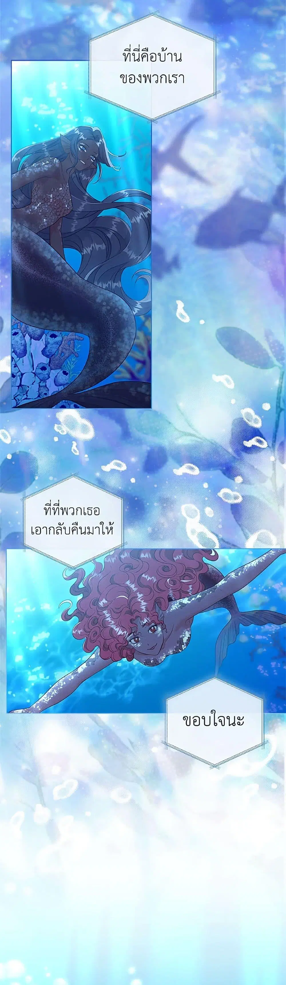 หน้า 12 จาก 52