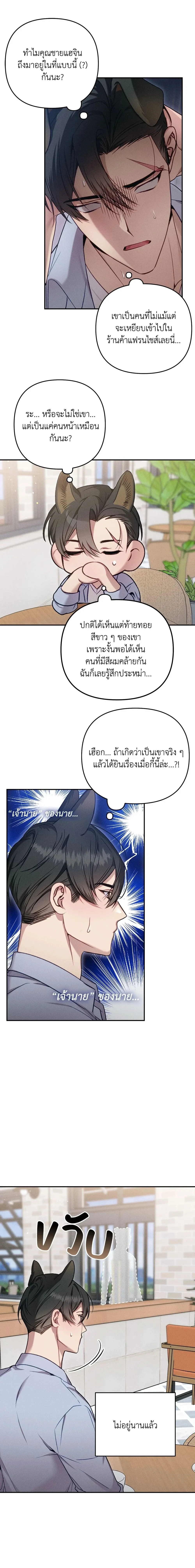 หน้า 20 จาก 31