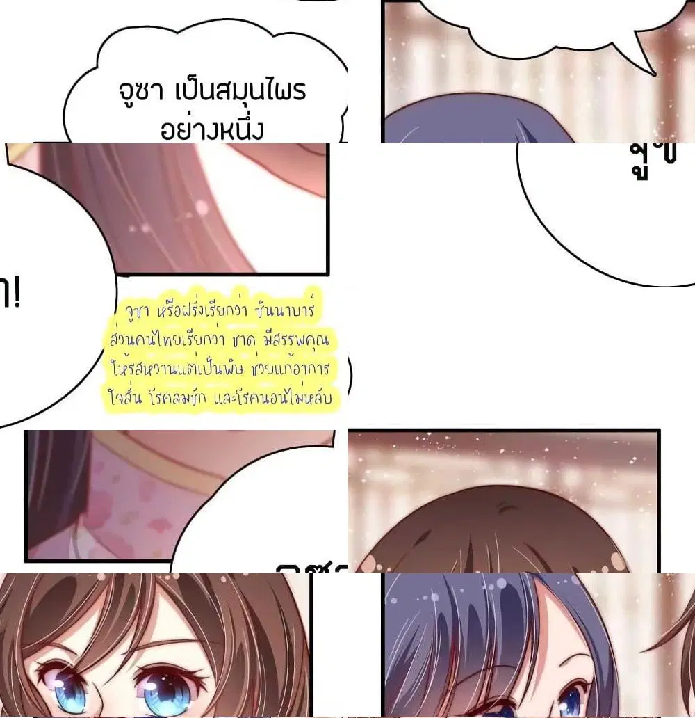 หน้า 4 จาก 14
