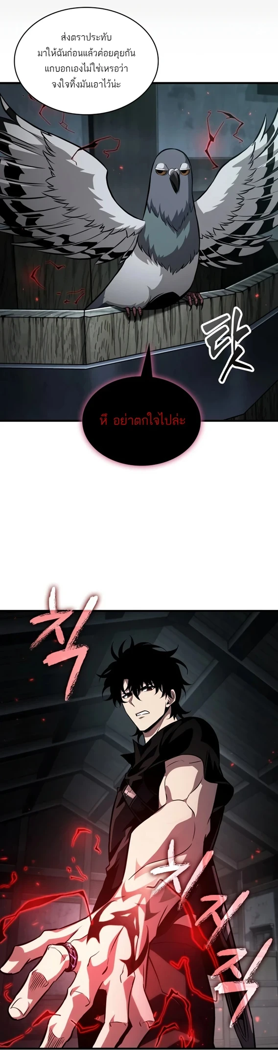 หน้า 41 จาก 51