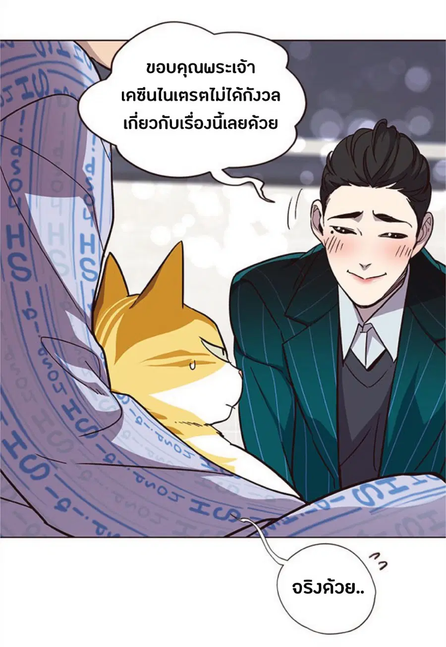 หน้า 41 จาก 85
