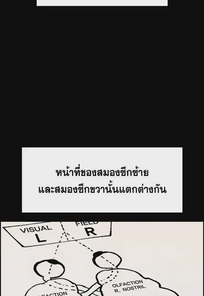 หน้า 47 จาก 133
