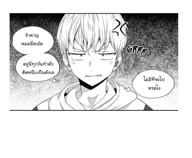 หน้า 7 จาก 40