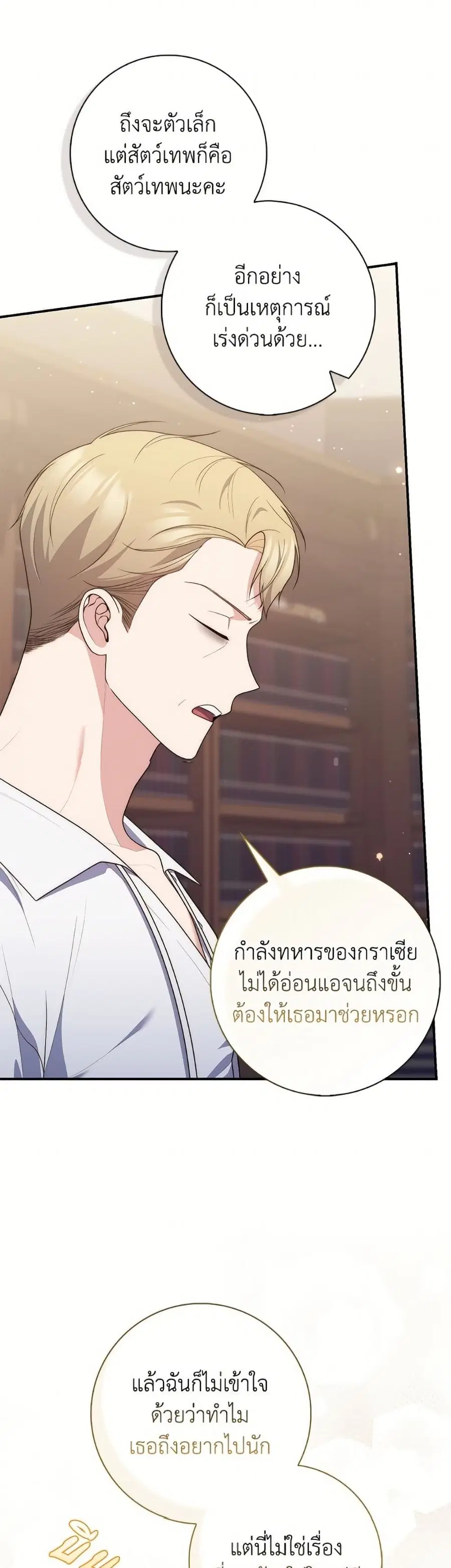 หน้า 29 จาก 52