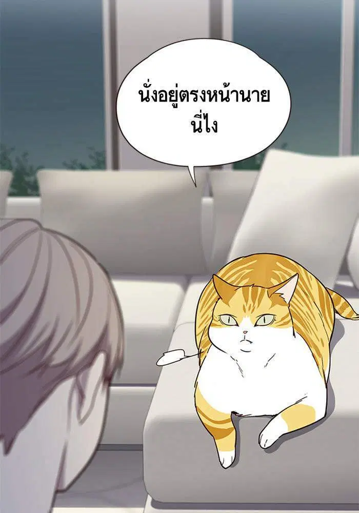 หน้า 37 จาก 100