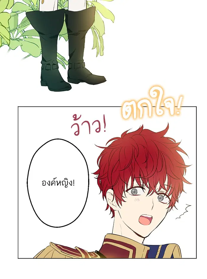 หน้า 50 จาก 79
