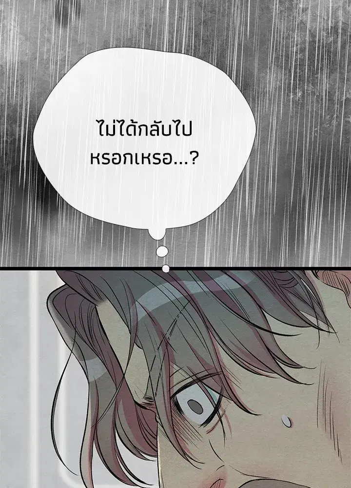 หน้า 146 จาก 165