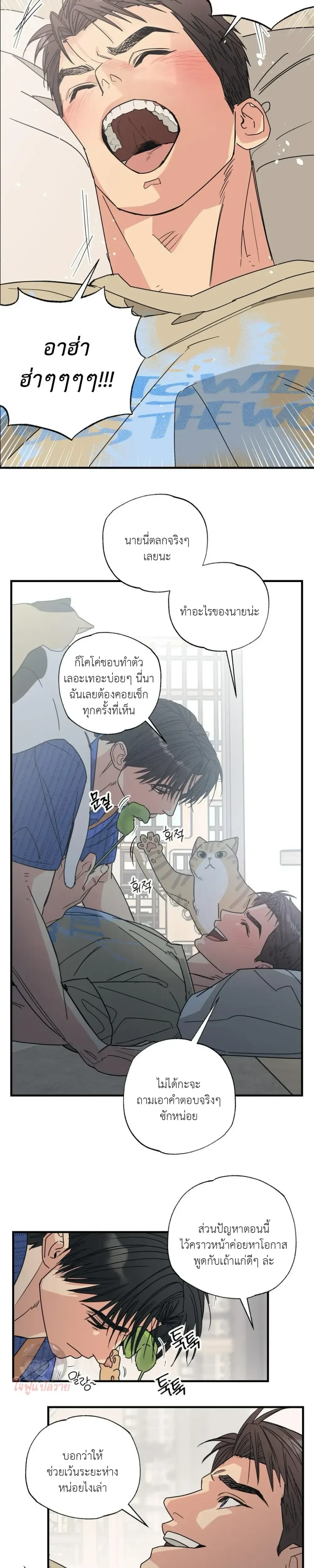 หน้า 17 จาก 19