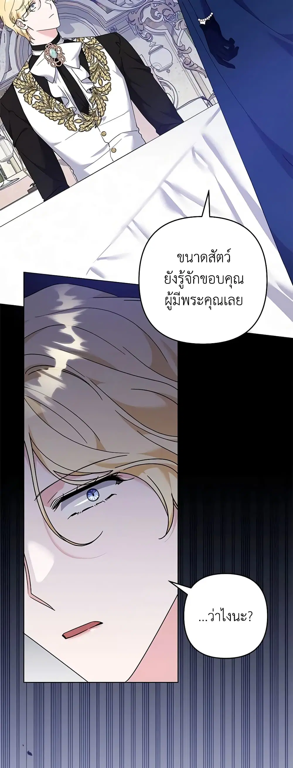 หน้า 28 จาก 43