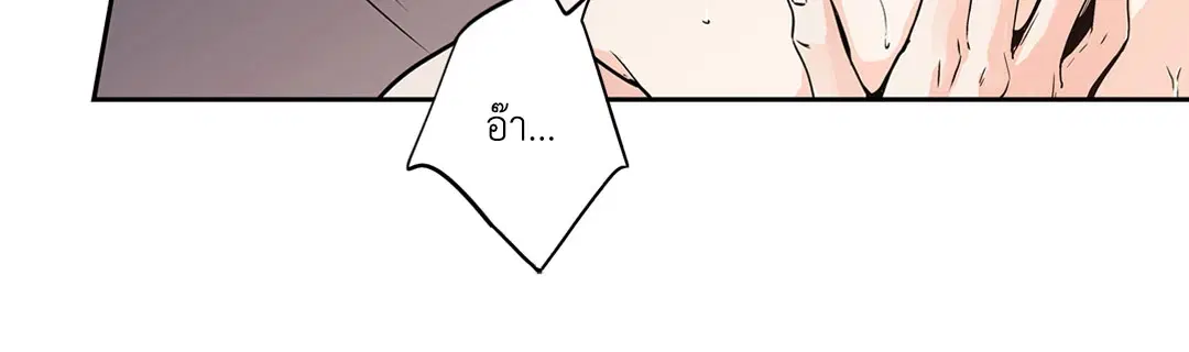 หน้า 28 จาก 52