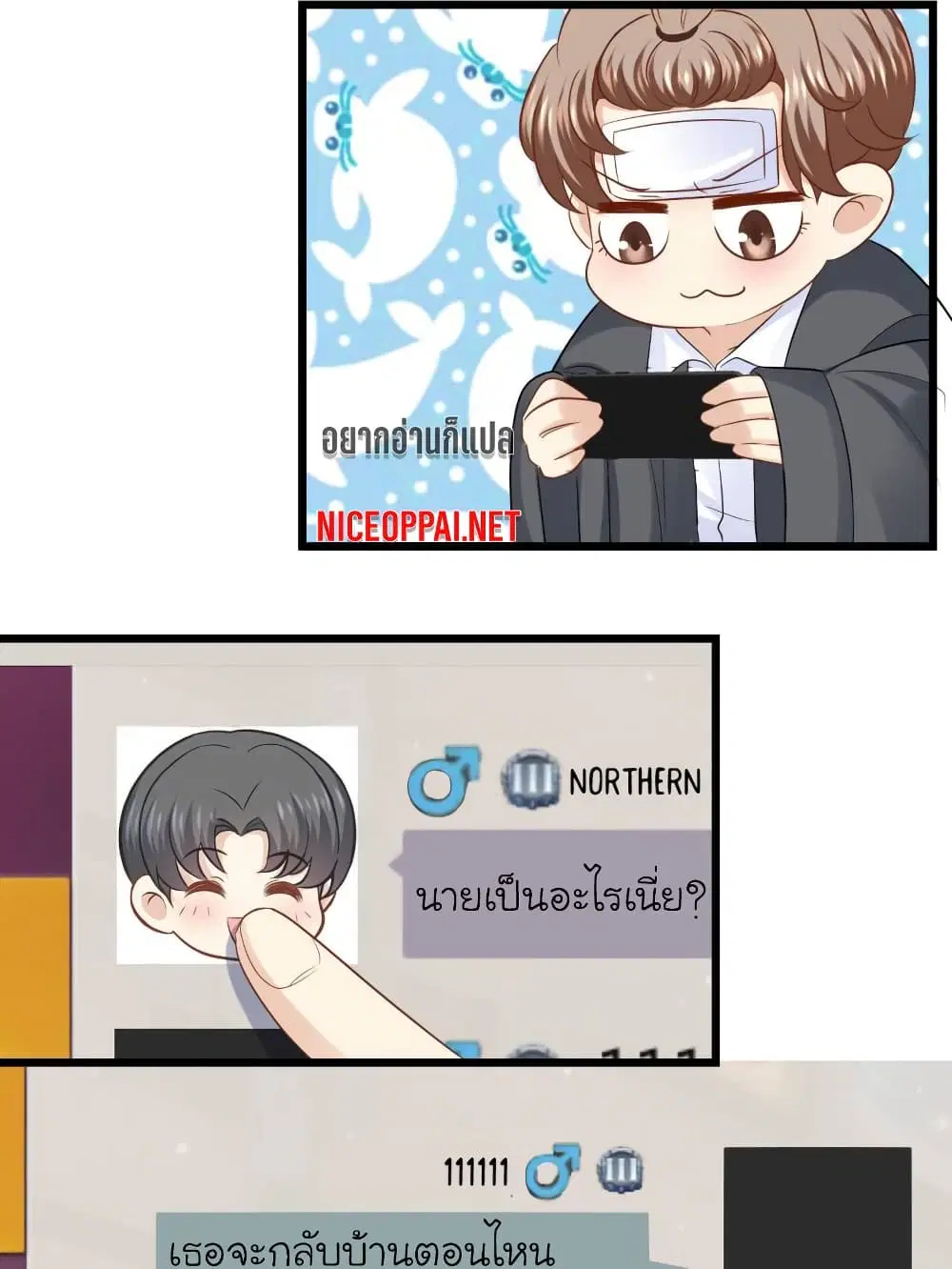 หน้า 6 จาก 24