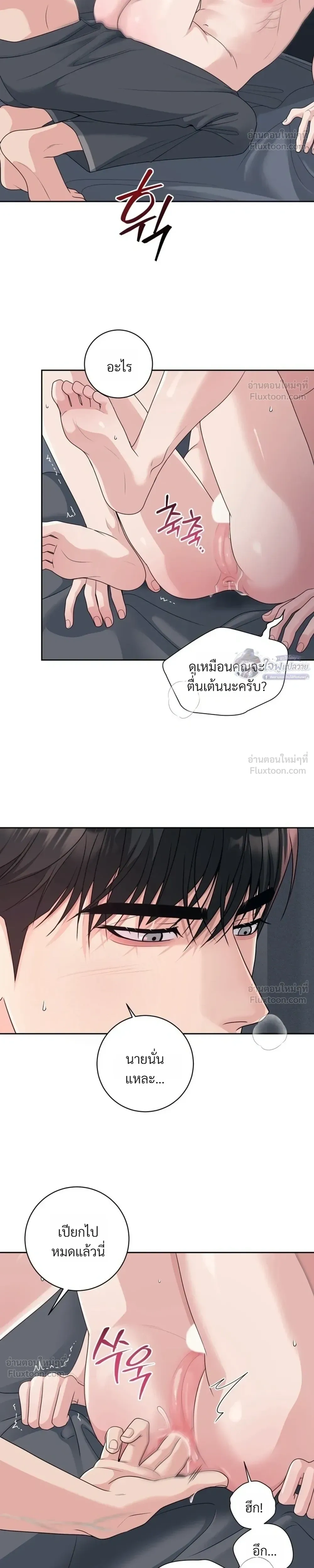 หน้า 6 จาก 31
