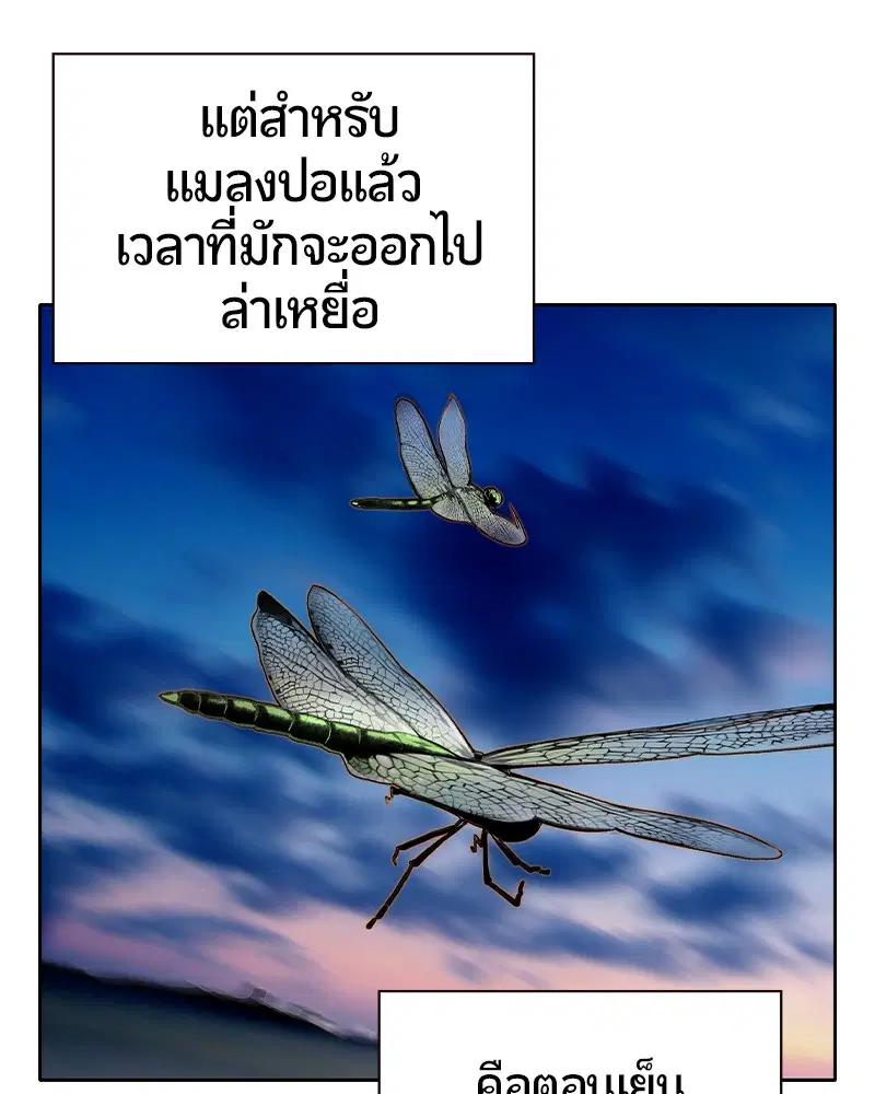หน้า 139 จาก 165