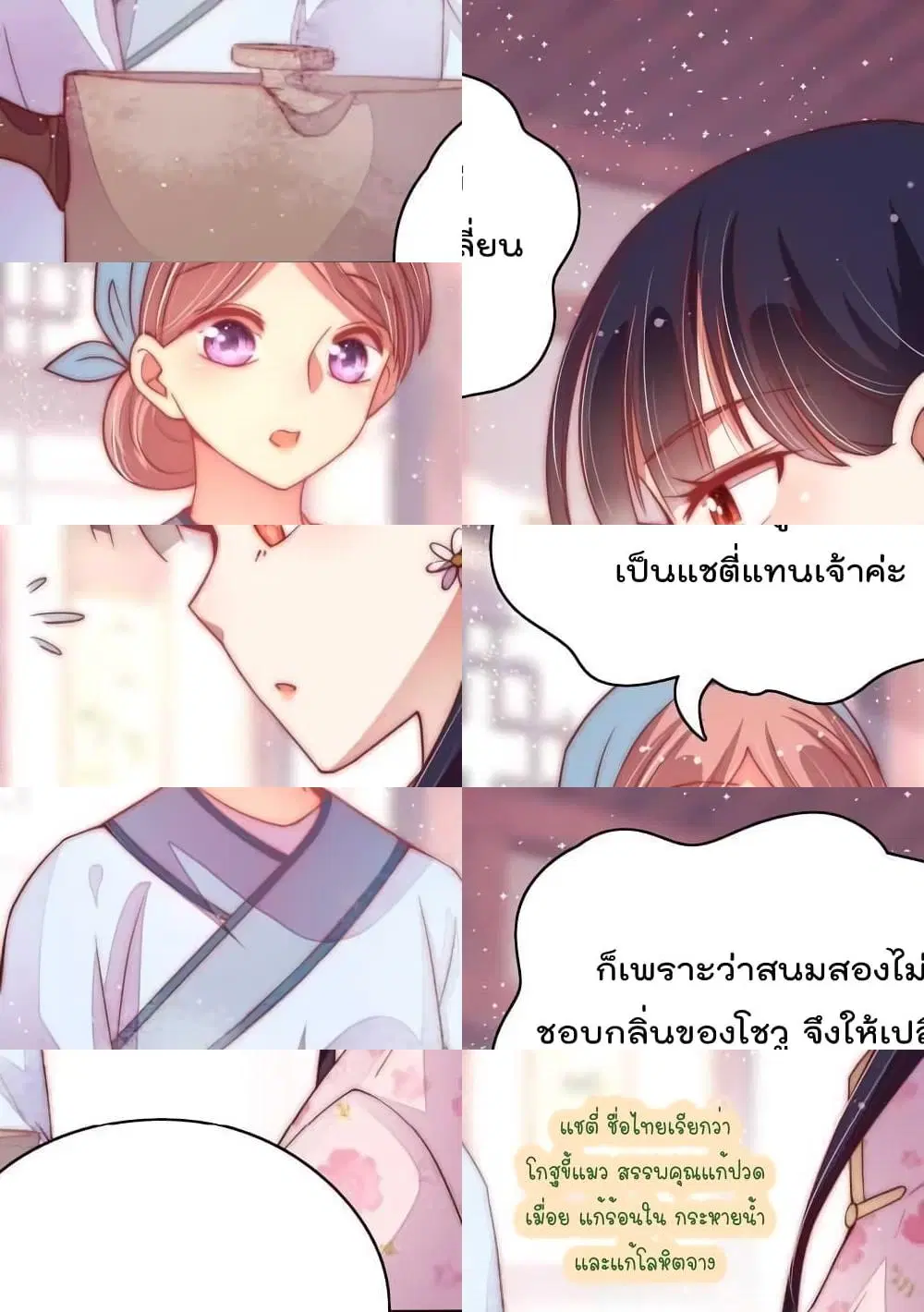 หน้า 2 จาก 12