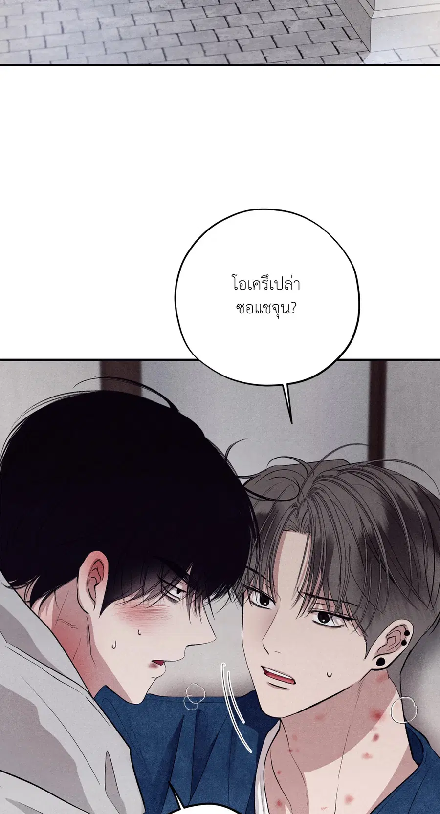 หน้า 31 จาก 81