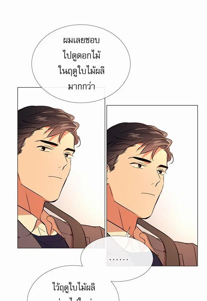 หน้า 35 จาก 55