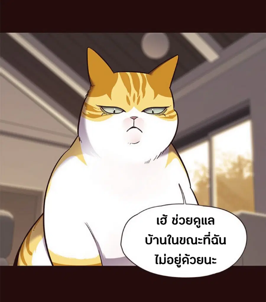 หน้า 37 จาก 71
