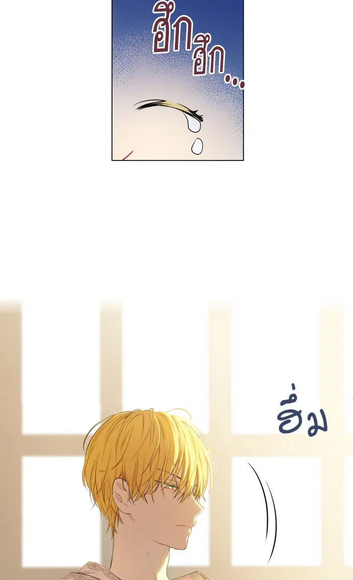 หน้า 21 จาก 66
