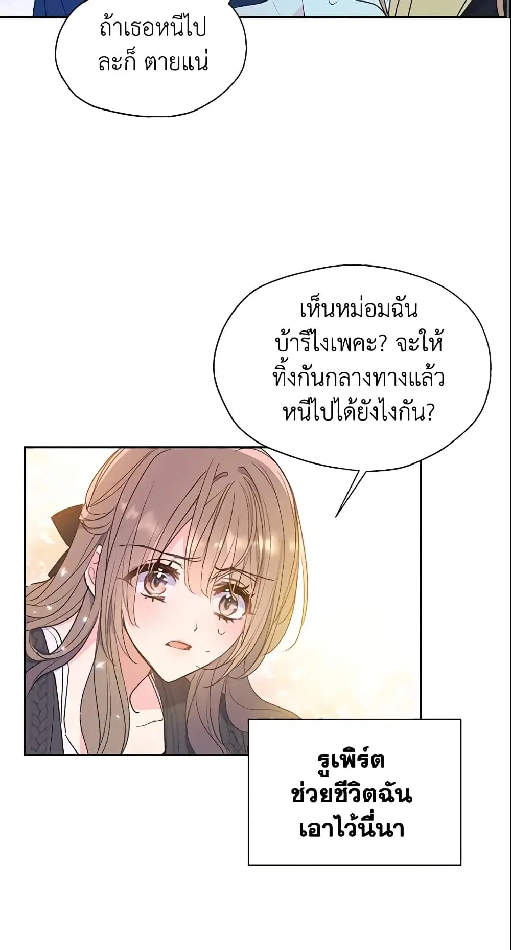 หน้า 4 จาก 42
