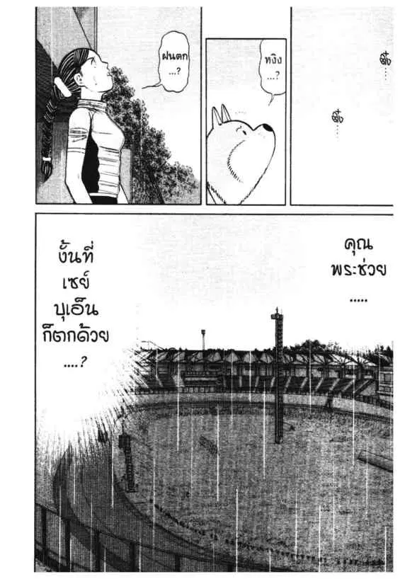 หน้า 17 จาก 19