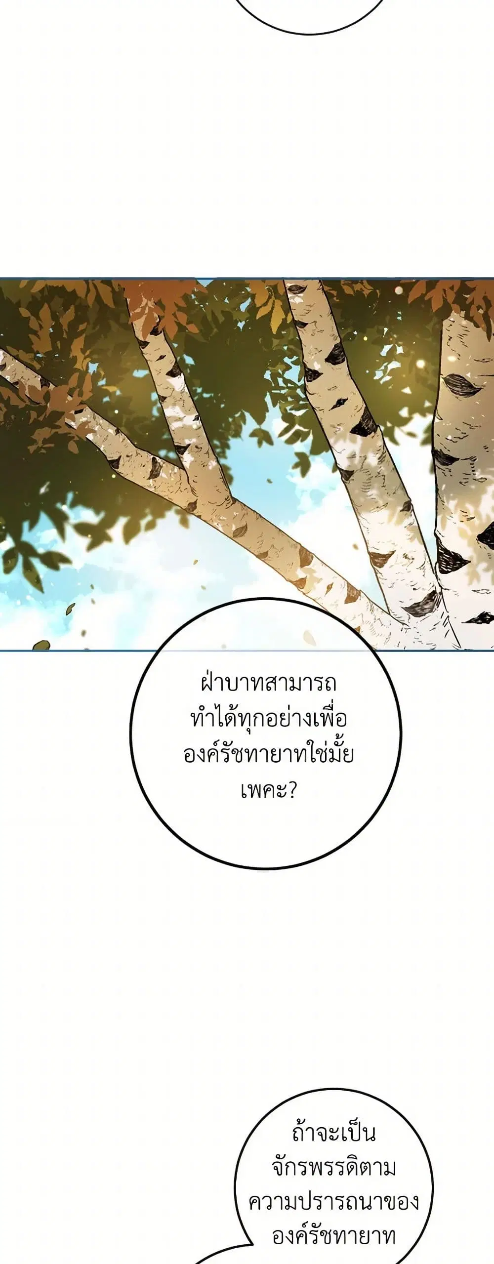 หน้า 26 จาก 40