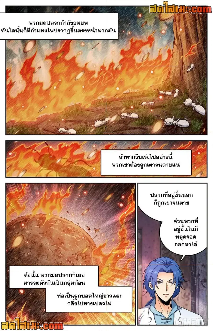 หน้า 5 จาก 14