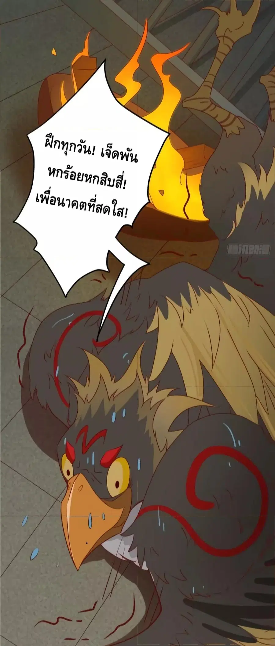 หน้า 5 จาก 37