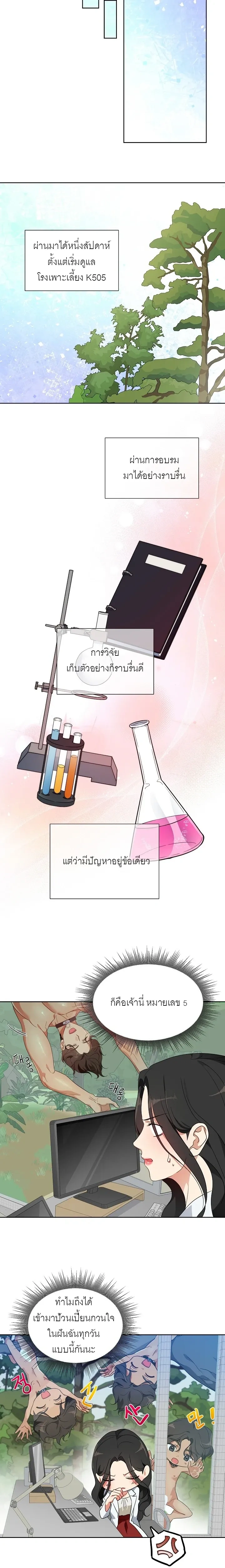 หน้า 19 จาก 26