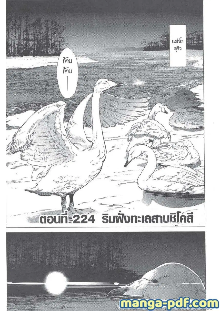 หน้า 1 จาก 18