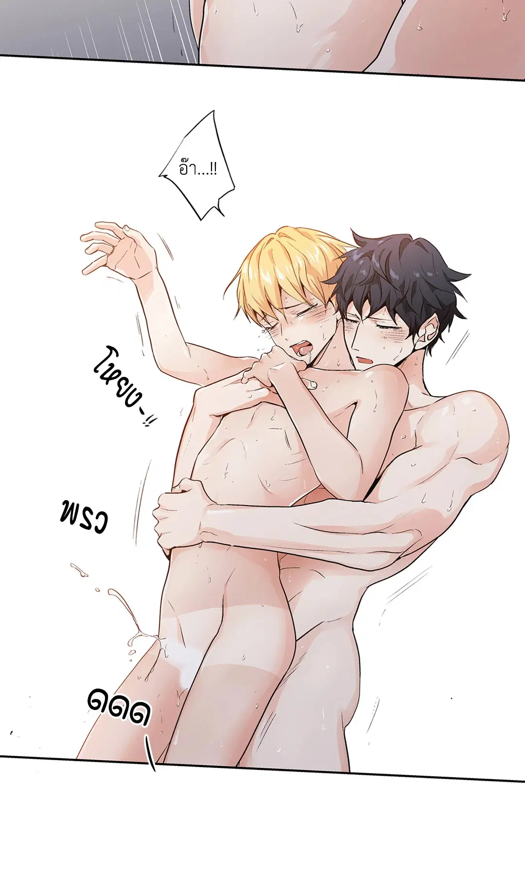 หน้า 39 จาก 43