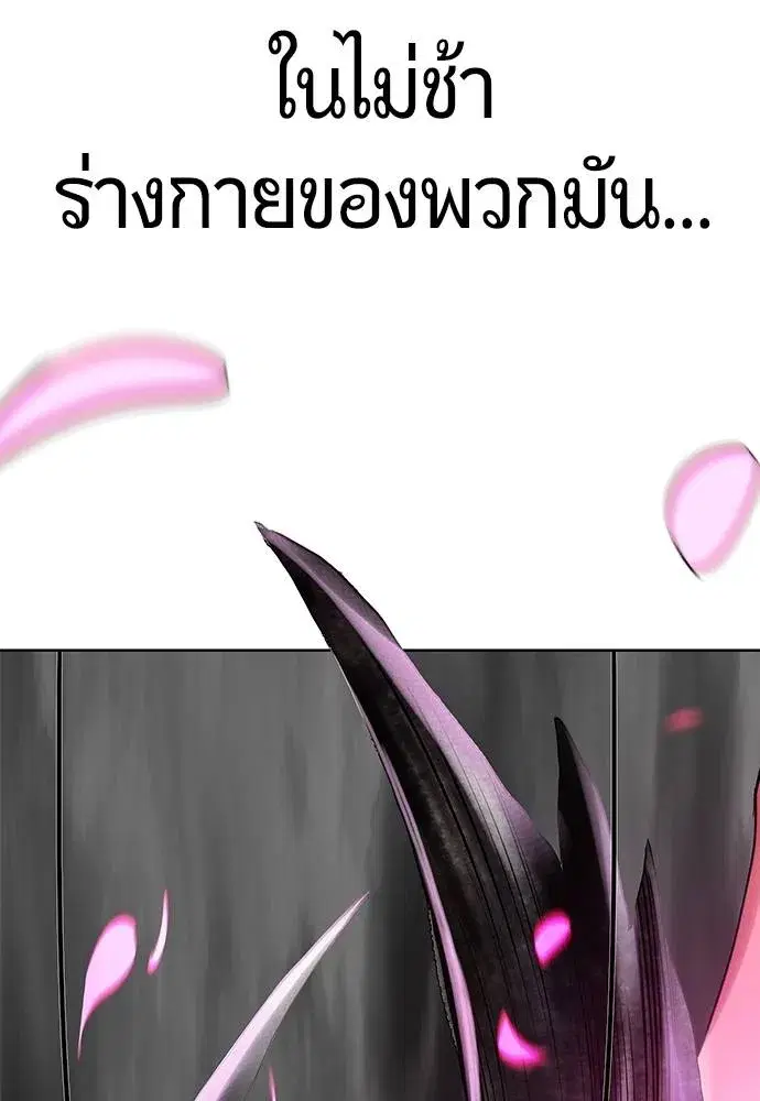 หน้า 113 จาก 169