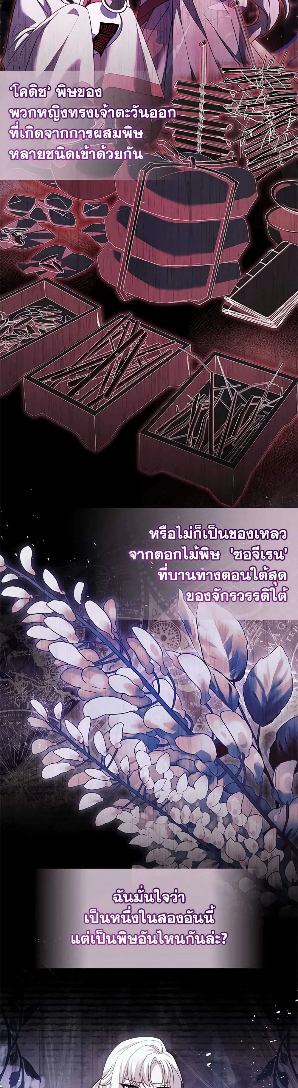 หน้า 25 จาก 37