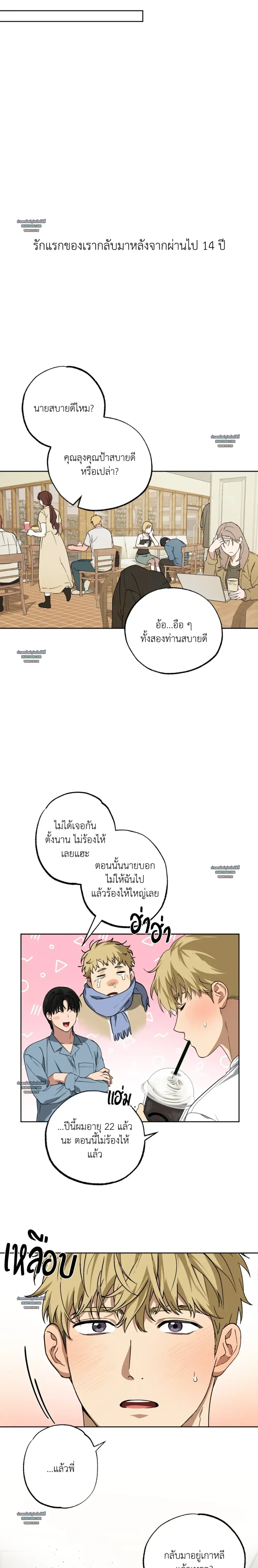 หน้า 13 จาก 23