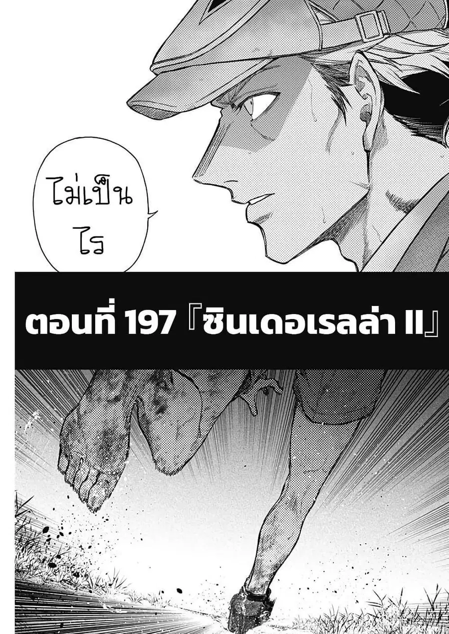 หน้า 5 จาก 17