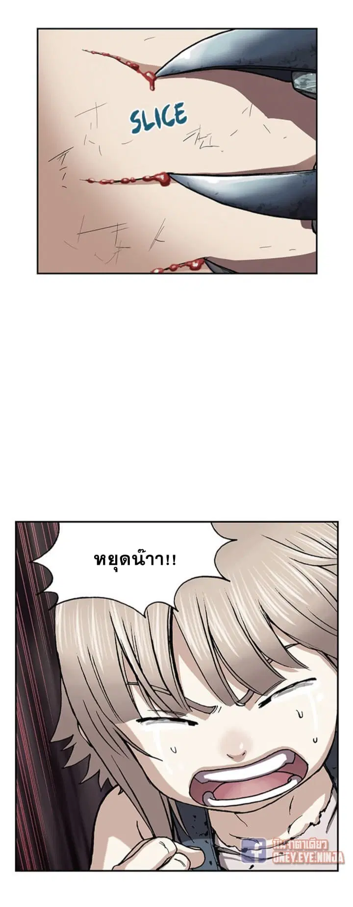 หน้า 19 จาก 26