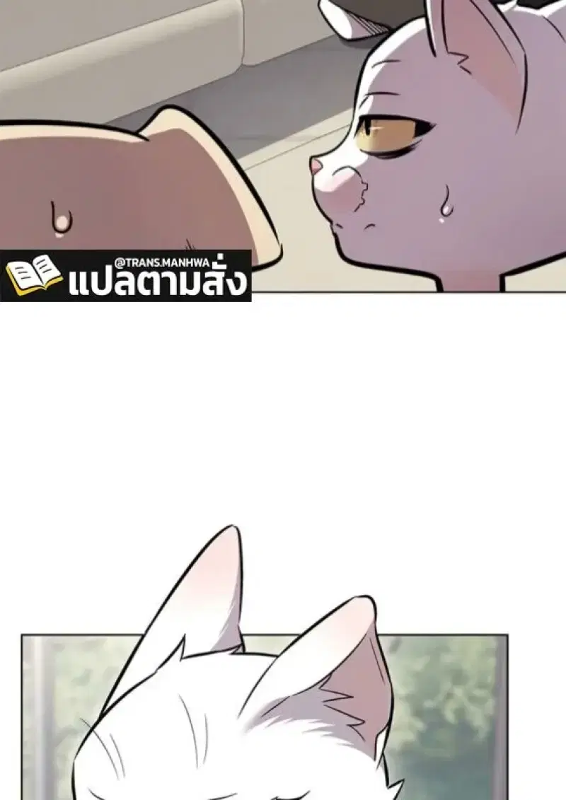 หน้า 127 จาก 165
