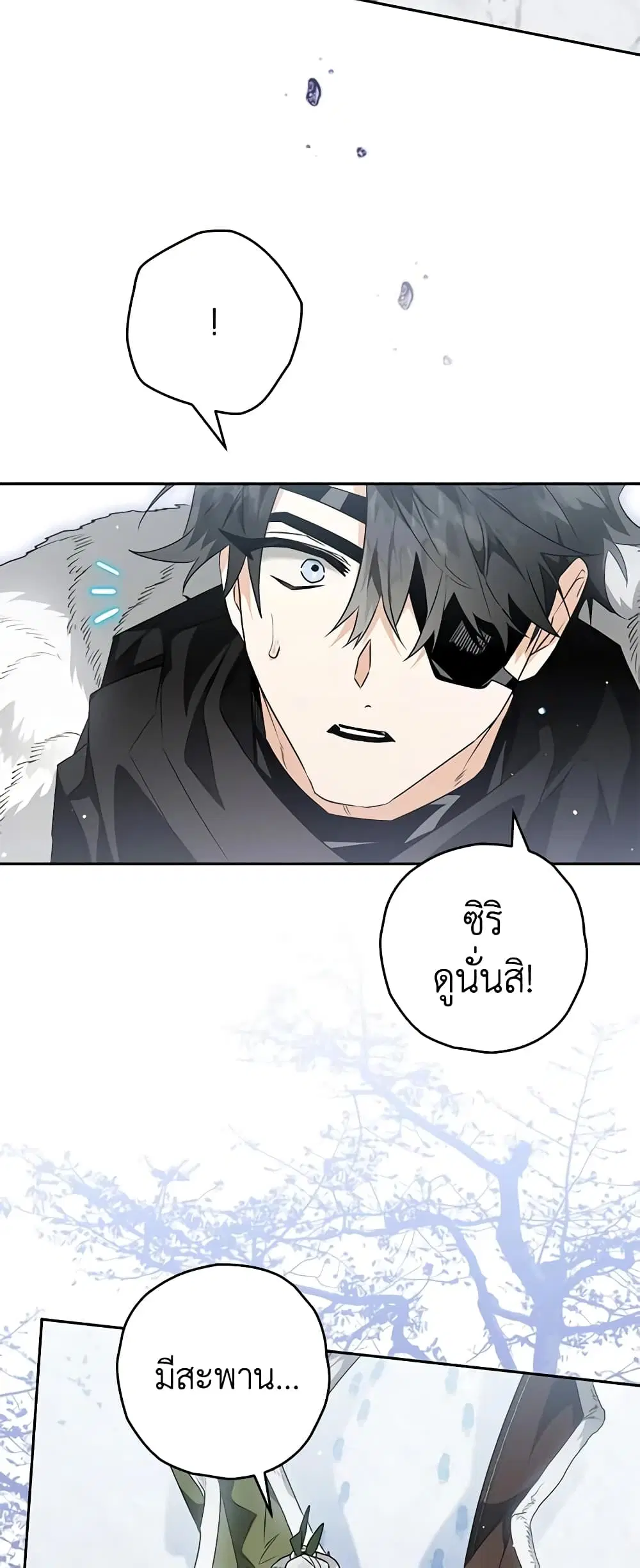 หน้า 12 จาก 44