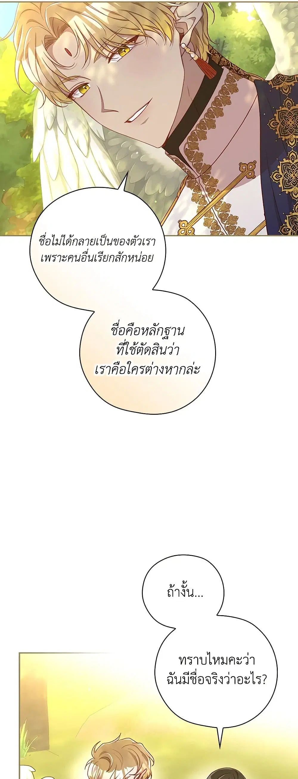 หน้า 12 จาก 42