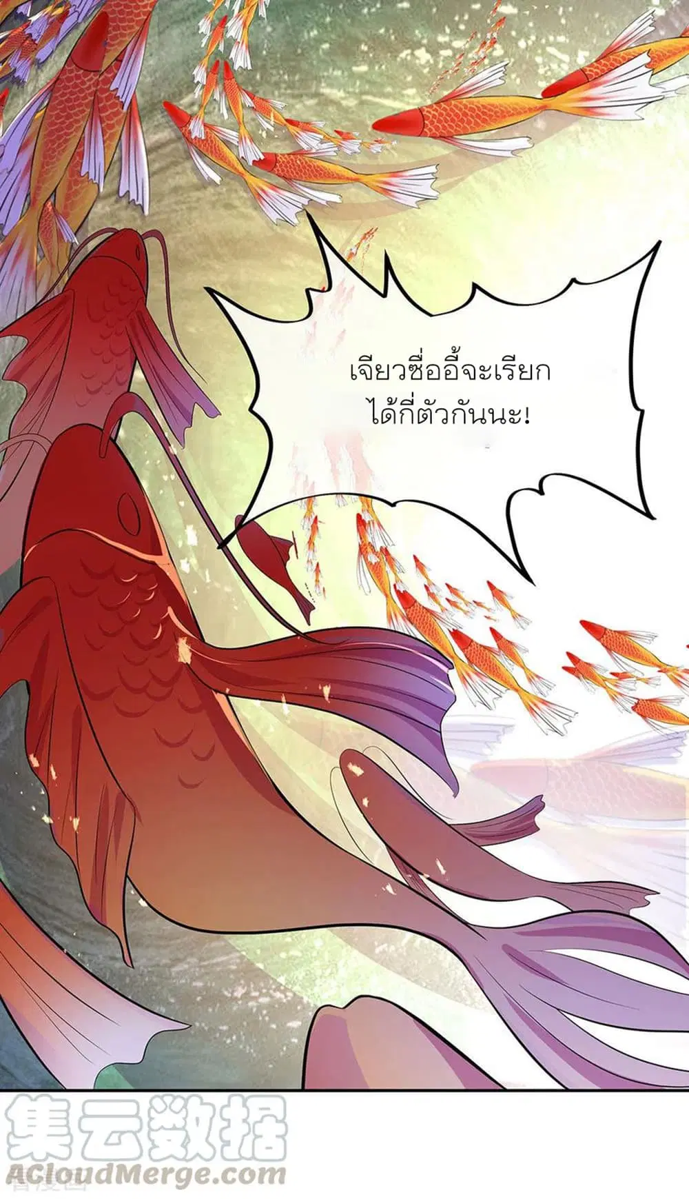 หน้า 27 จาก 37