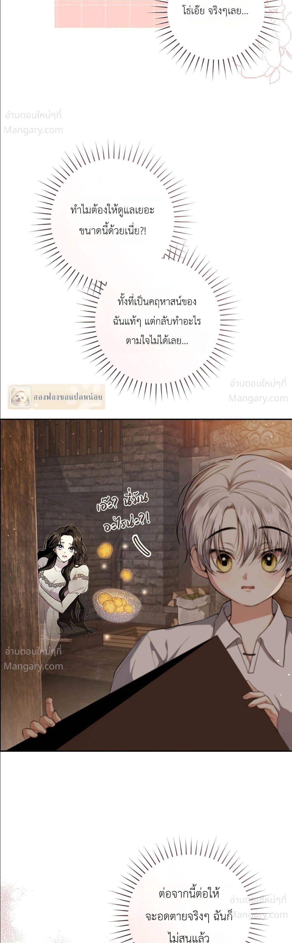 หน้า 49 จาก 52