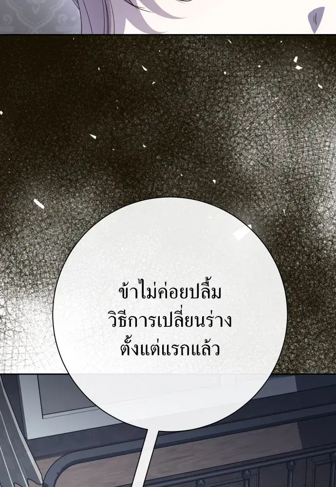 หน้า 116 จาก 166