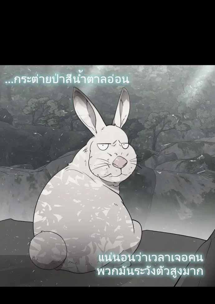 หน้า 81 จาก 121