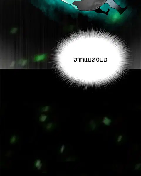 หน้า 95 จาก 163