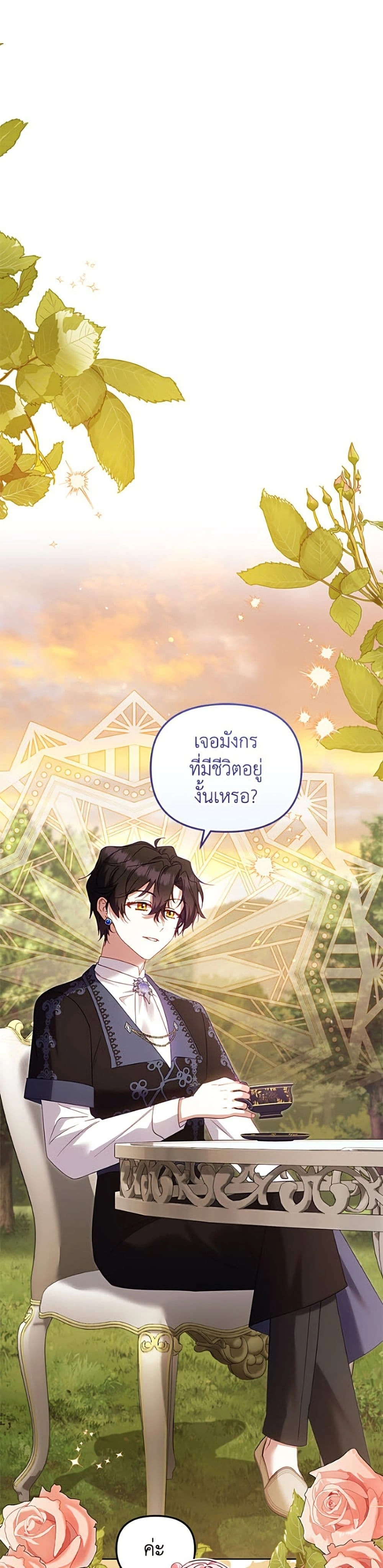 หน้า 26 จาก 50