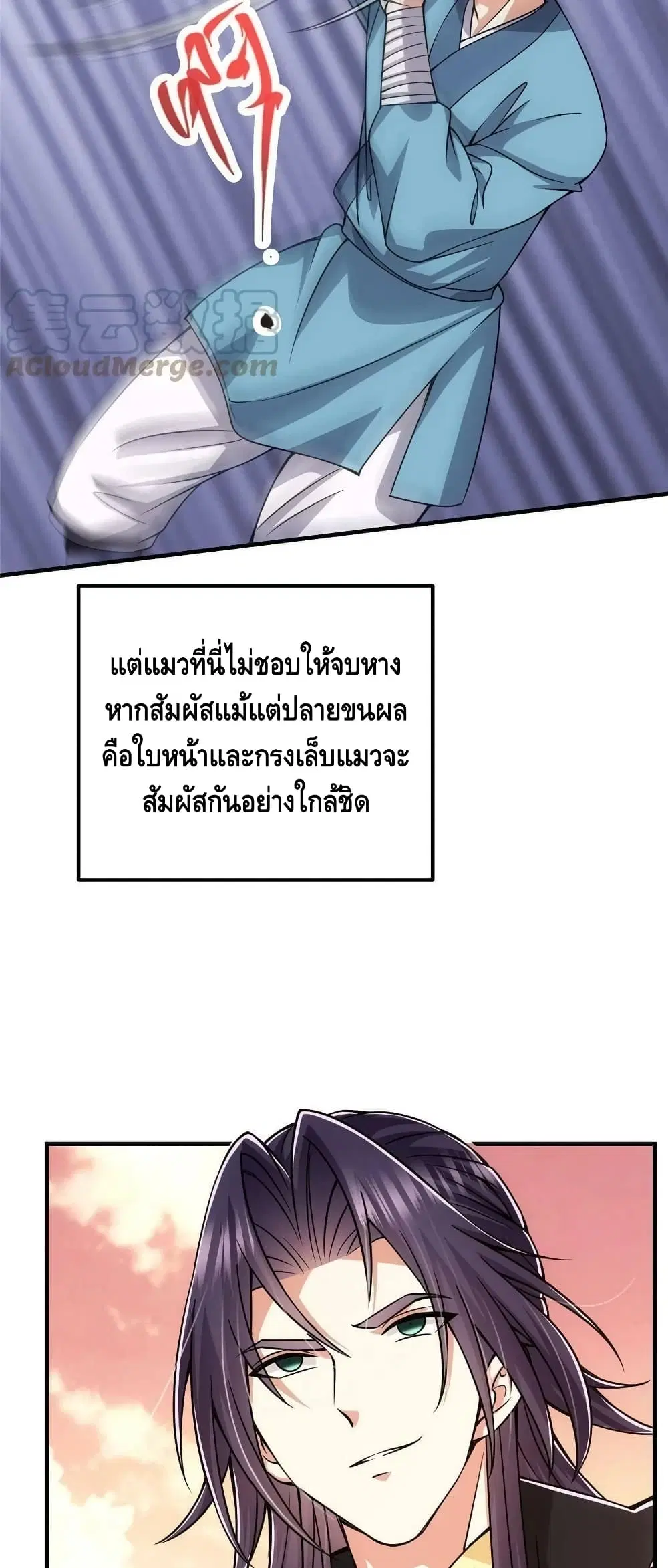 หน้า 28 จาก 42