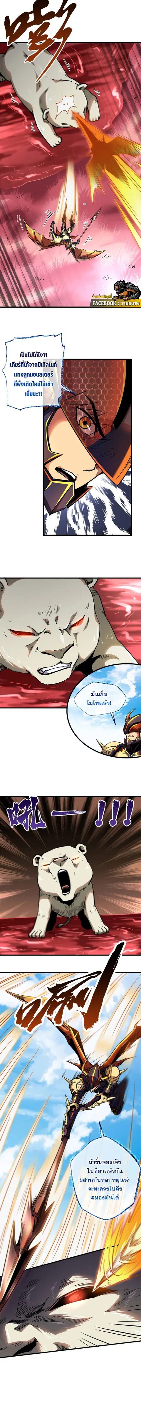 หน้า 8 จาก 13