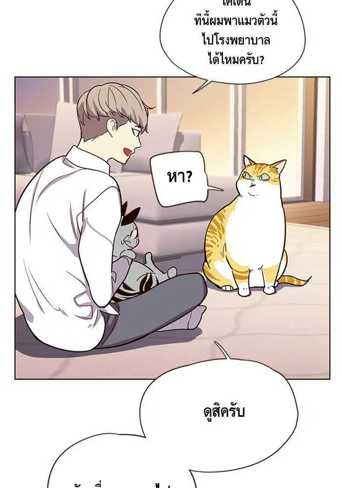 หน้า 31 จาก 81