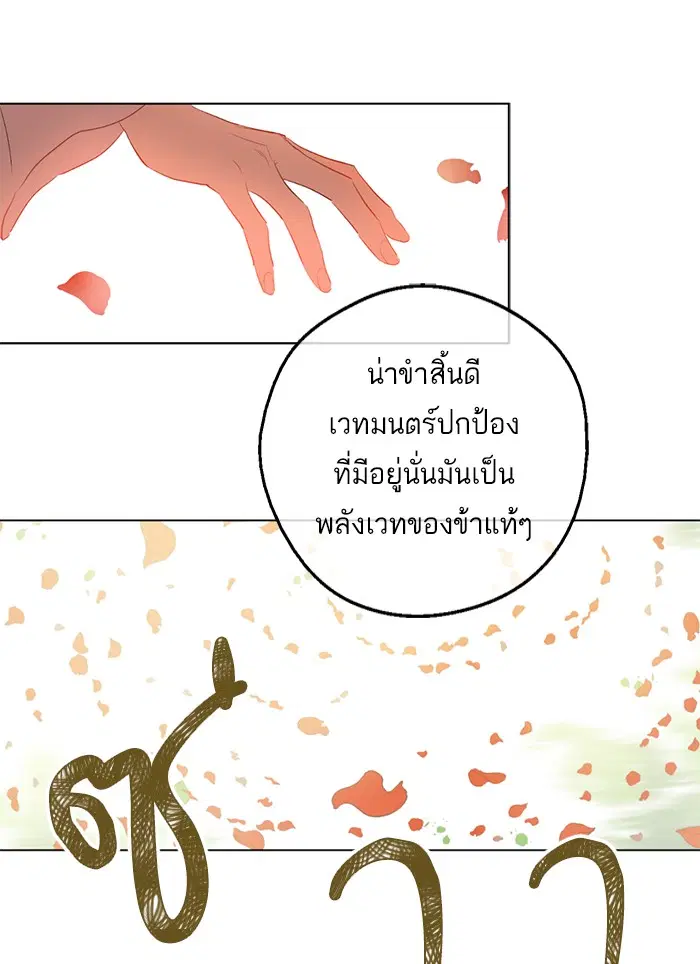 หน้า 41 จาก 54