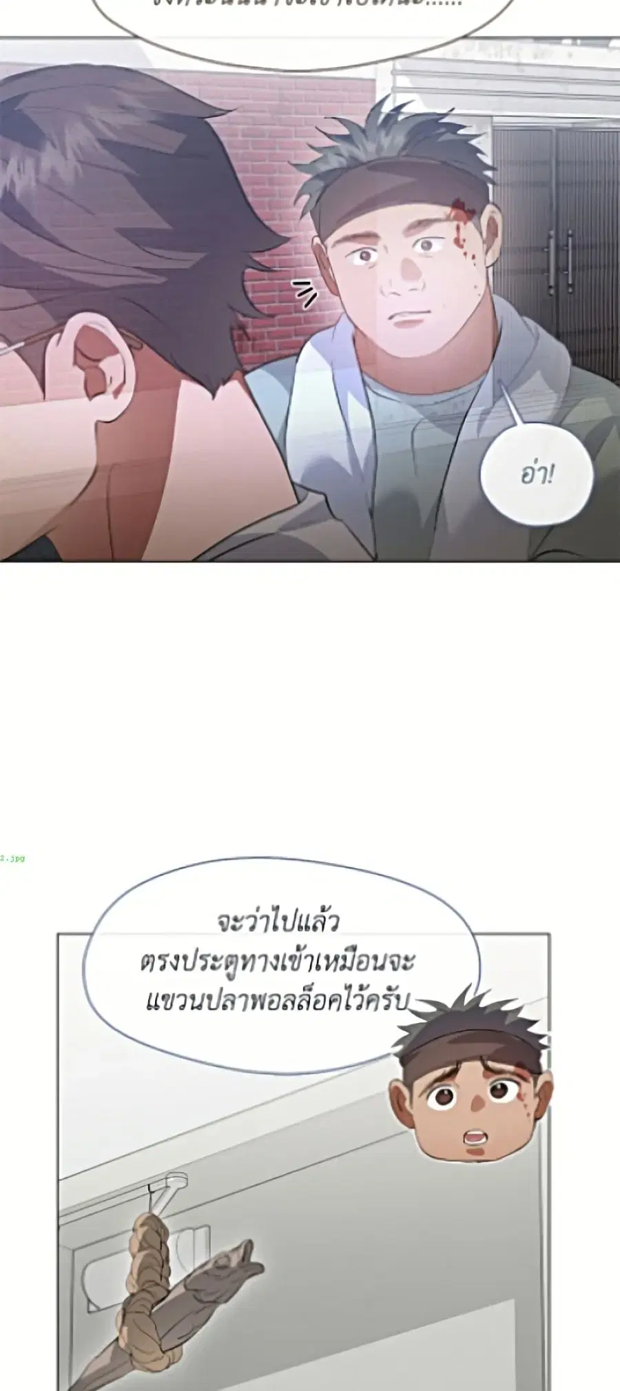 หน้า 12 จาก 62